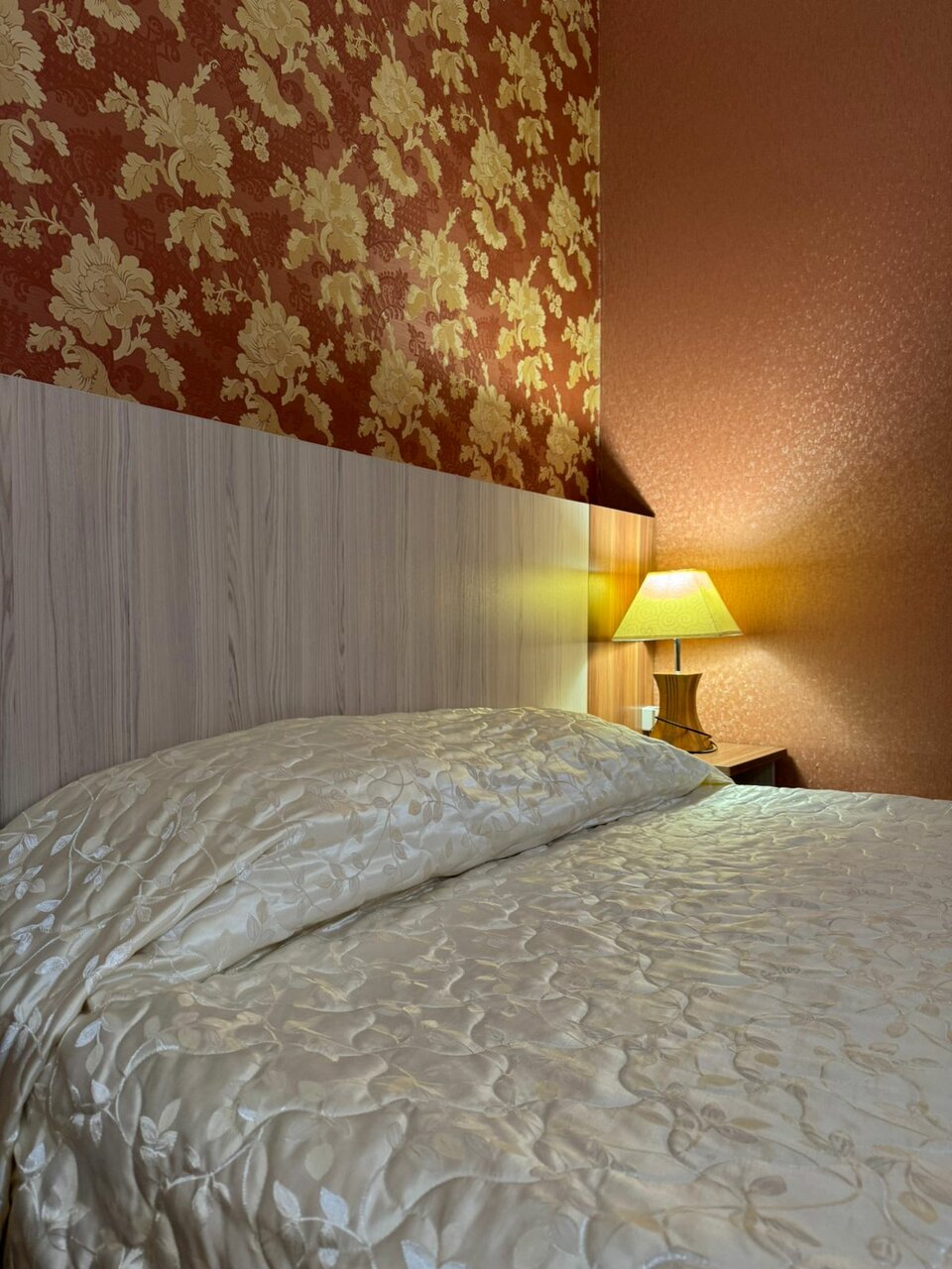 Гостиница Кагау на Строителей Пенза